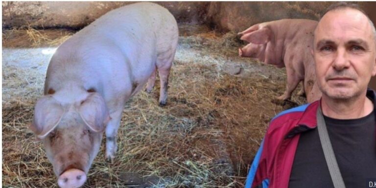 Zaradi pujsa je izgubil testise! Milovan ostal iznakažen: Če je ne bi udaril v glavo, kdo ve, kaj bi bilo! (FOTO)