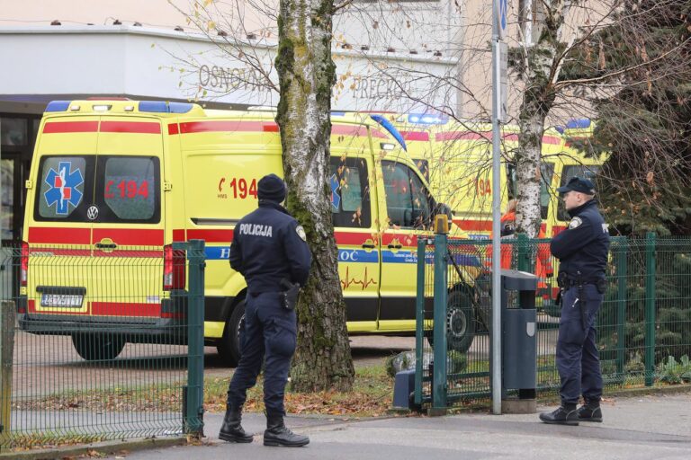 Napad z nožem na šoli: Mladoletnik hudo ranil sedem ljudi, en otrok umrl Foto: Robert Anic/PIXSELL