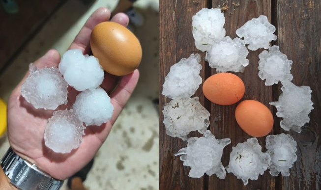 FOTO: 24ur.com / Neurje.si