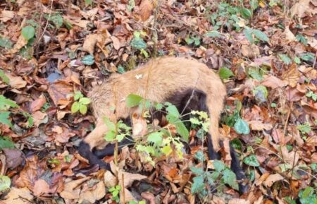 FOTO: Martin Cingerle | Facebook