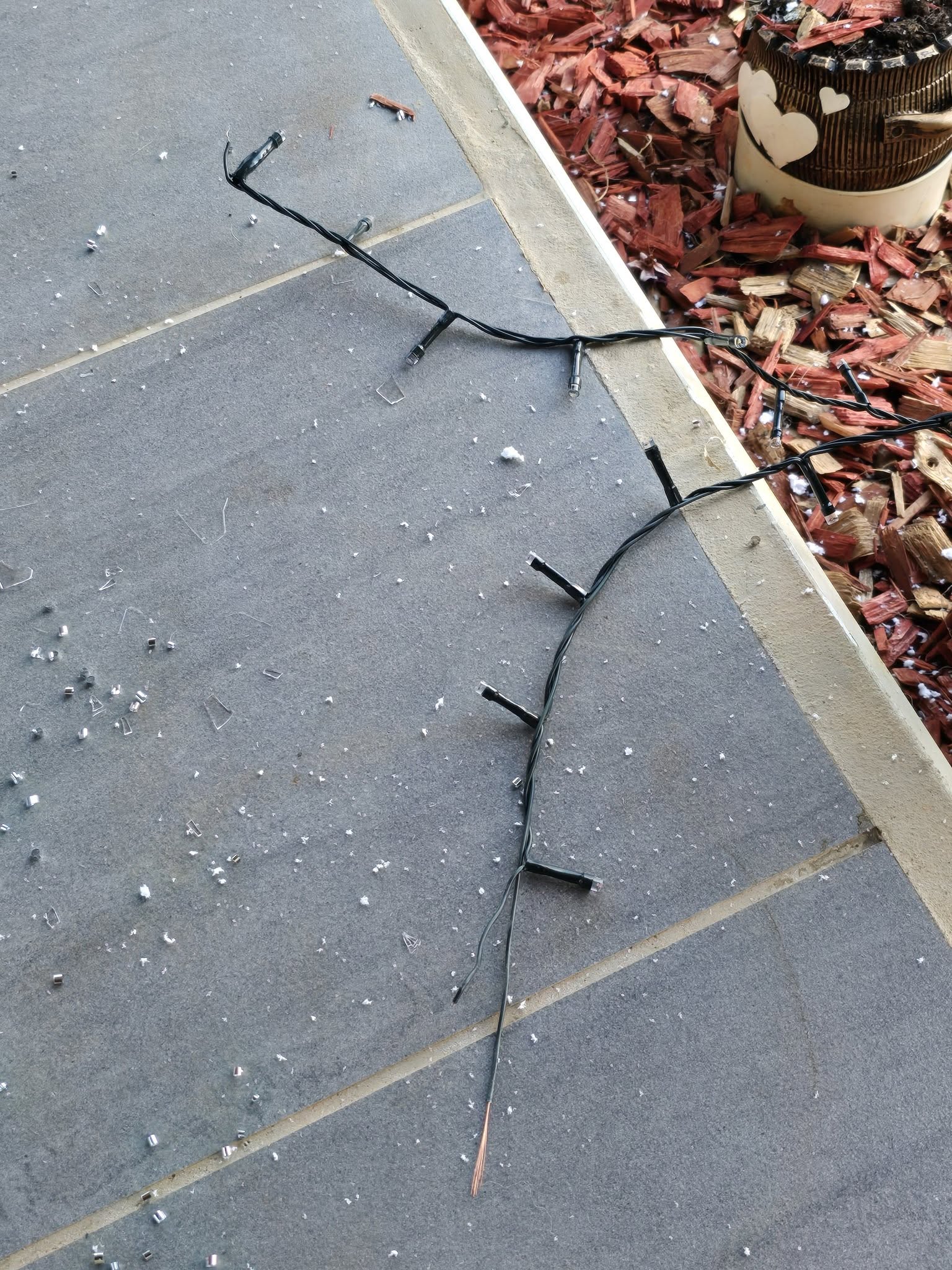 FOTO: Facebook / Blanka Smith Judnič