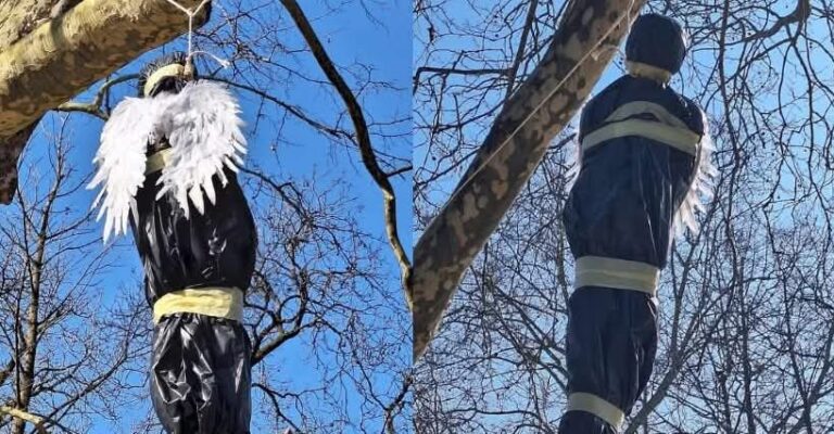 Nov predvolilni šok: Sredi Ljubljane na drevo visi lutka Roberta Goloba (FOTO)