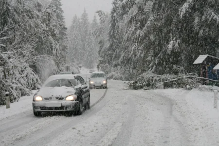 FOTO: Slovenske Novice