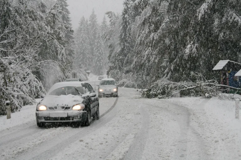 FOTO: Slovenske Novice