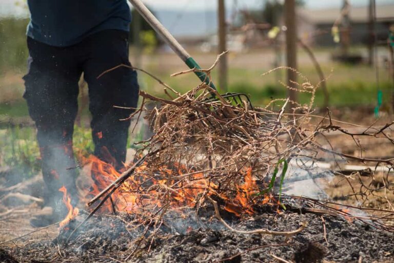 FOTO: morningchores