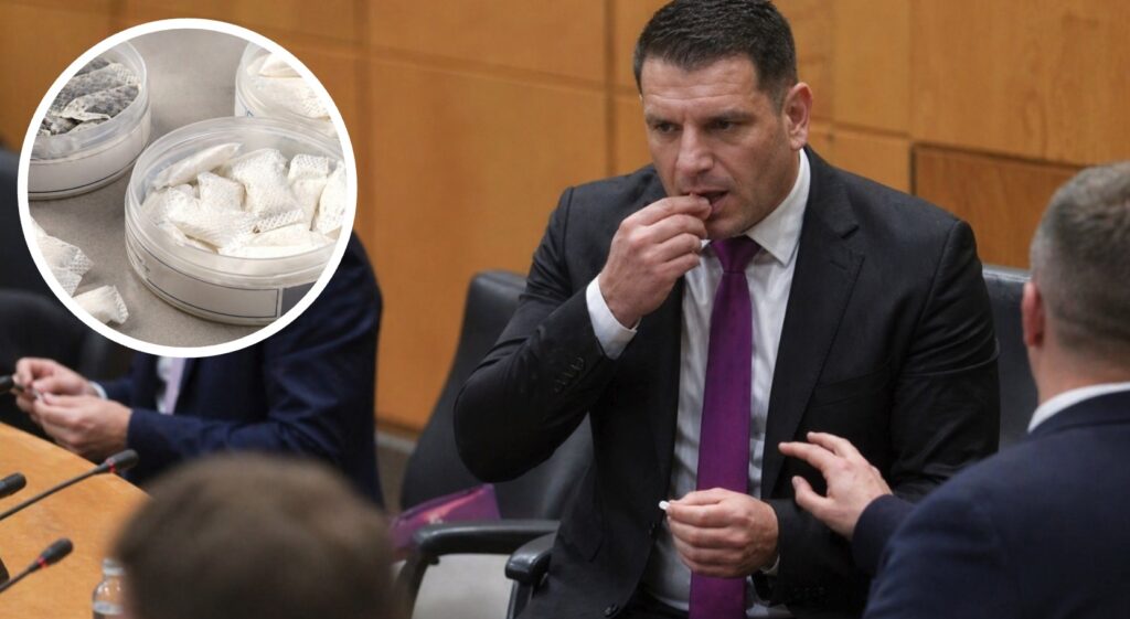 Zoran Stevanović | FOTO: Pokukaj24.si