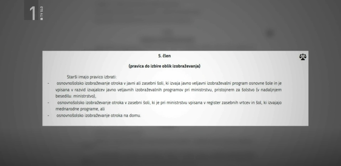 FOTO: Posnetek zaslona / RTV Slovenija