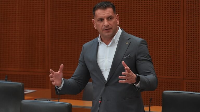 VIDEO: Zoran Stevanović ostro o priseljevanju v Sloveniji: »Država mora najprej poskrbeti za svoje ljudi«