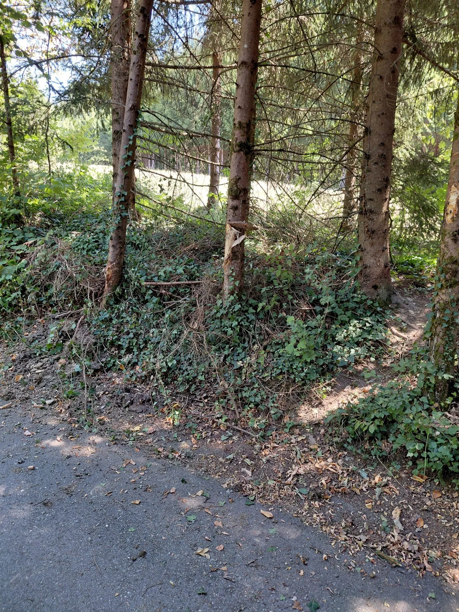 FOTO: PGE Krško