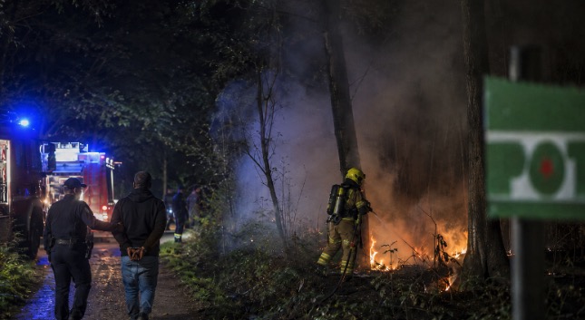 Slika je simbolična | FOTO: Pokukaj24.si / DALL·E