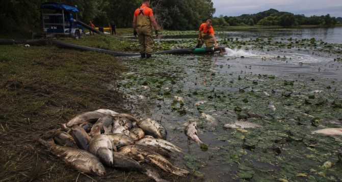FOTO: V jezeru Pristava poginilo 10 ton rib – voda se je spremenila v mrtvaško jamo
