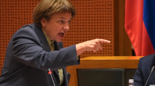 VIDEO: Nataša Sukič obljublja Stevanoviću, da mu Levica ne bo dala miru! Nataša Sukič | FOTO: Pokukaj24.si / DALL·E
